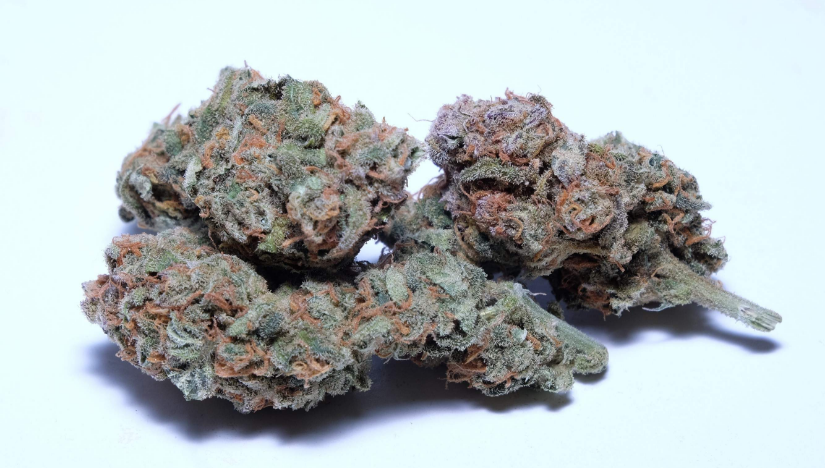 What Makes Snowman a Girl Scout Cookies Phenotype?