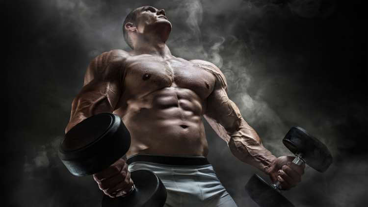 How Do Sarms Work: Everything You Need to Know