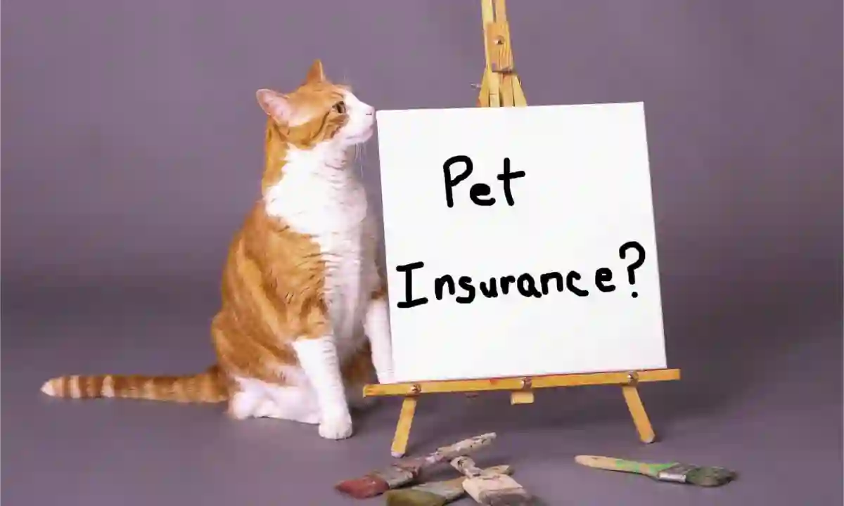 Pet Insurance Trends: What’s New in the World of Pet Health Coverage